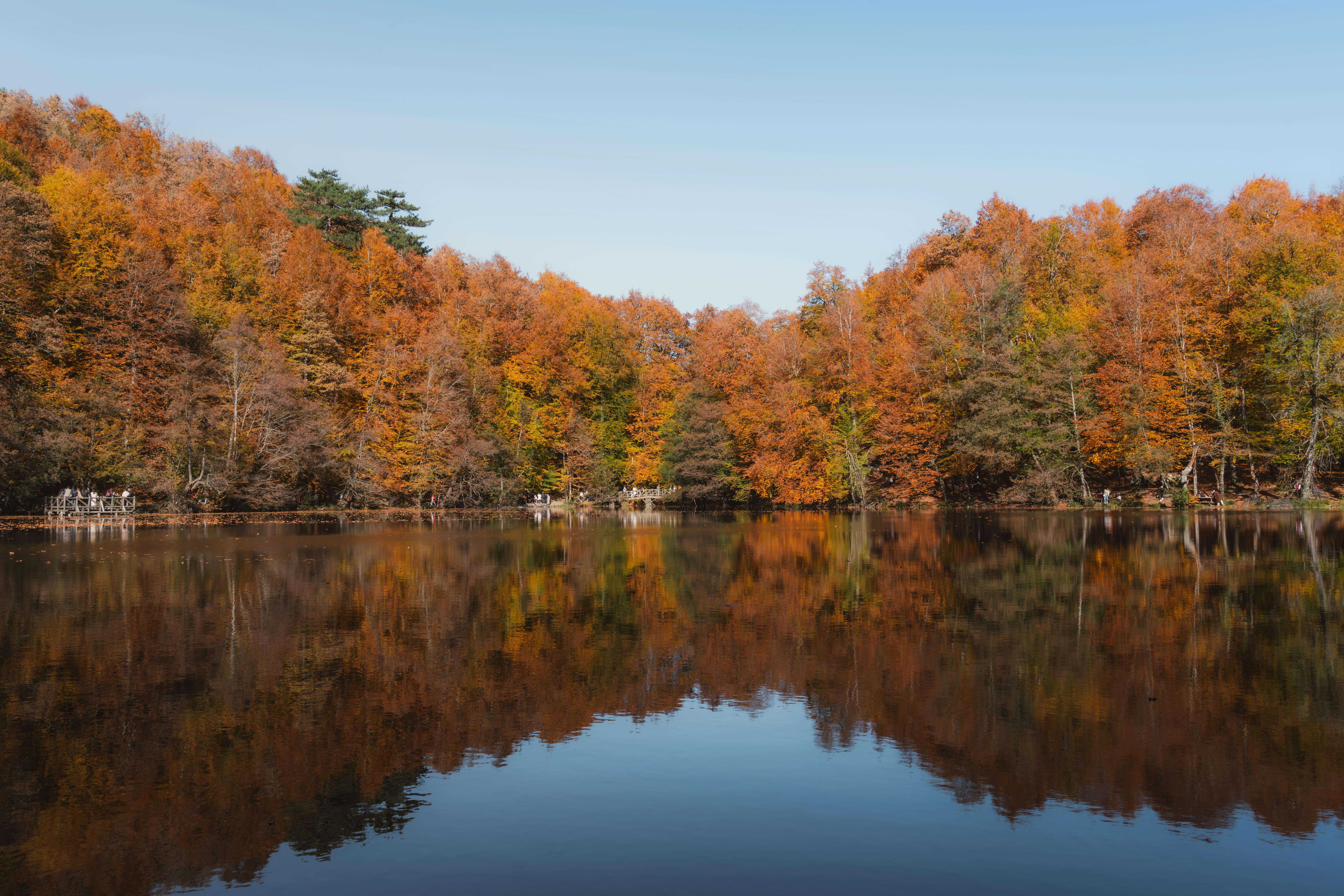 Yedigöller'in Büyüsü (Sonbahar)
